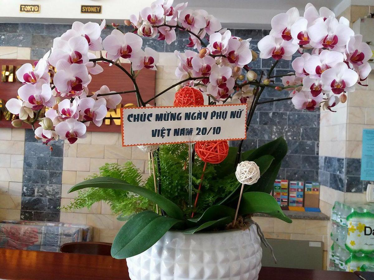 Tia Náng Hòng - Pink Sunbeam Hostel *